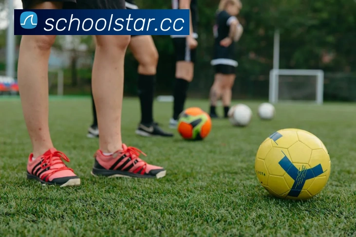 pg娱乐电子游戏平台入口平台生态图